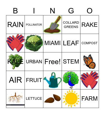 VIZCAYA VILLAGE FIELD BINGO Card