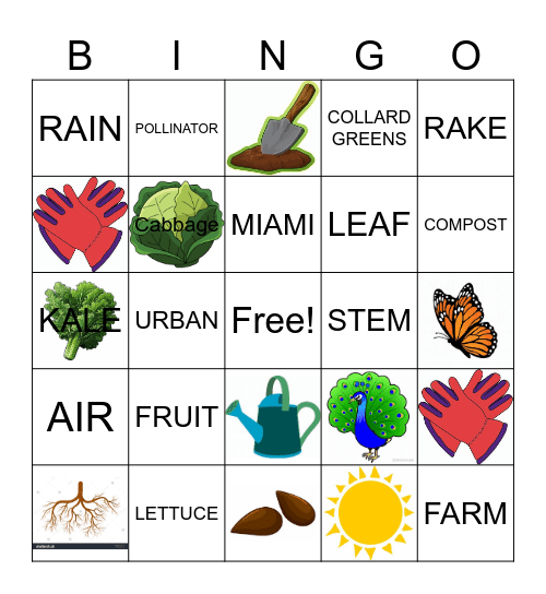 VIZCAYA VILLAGE FIELD BINGO Card