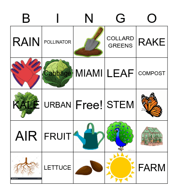 VIZCAYA VILLAGE FIELD BINGO Card