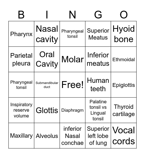 A+P Lab exam 1 Bingo Card