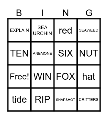 Week 2 Vocab Bingo Card