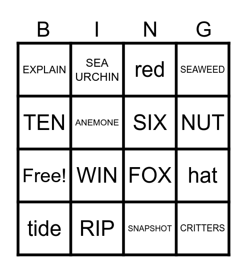 Week 2 Vocab Bingo Card