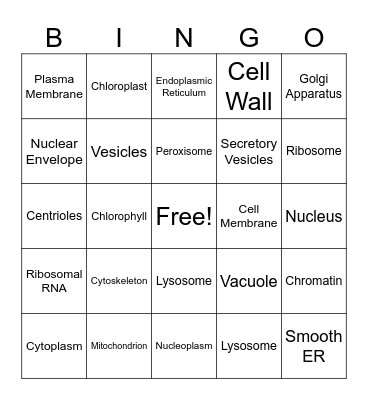 Cell Parts Bingo Card