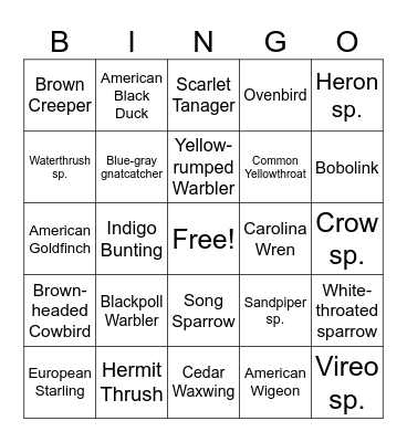 Birding Club Bingo Card