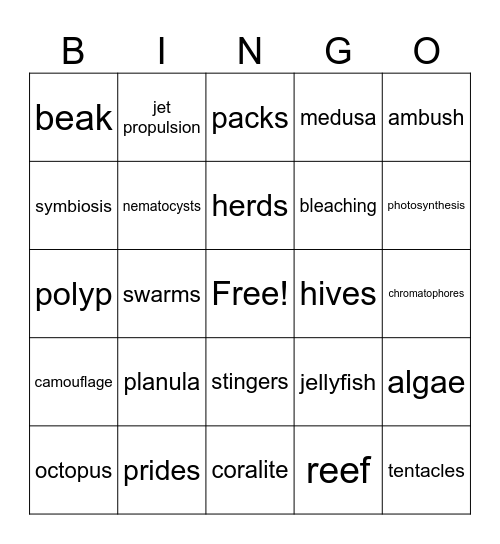 Aquatic Invertebrates Bingo Card