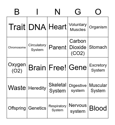 Science Review Bingo Card