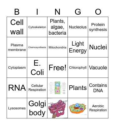 Cell Bingo Card