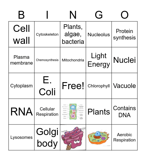 Cell Bingo Card