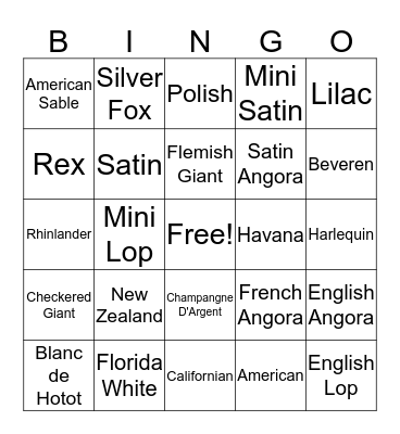 Rabbit Breed Bingo Card