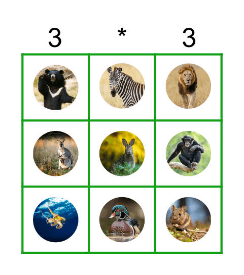 16 Animals (Pictures) Bingo Card