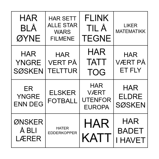 FINN NOEN SOM... Bingo Card