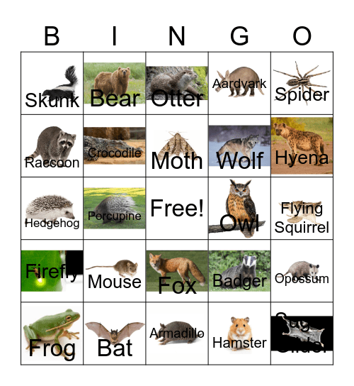 Nocturnal Animals Bingo Card