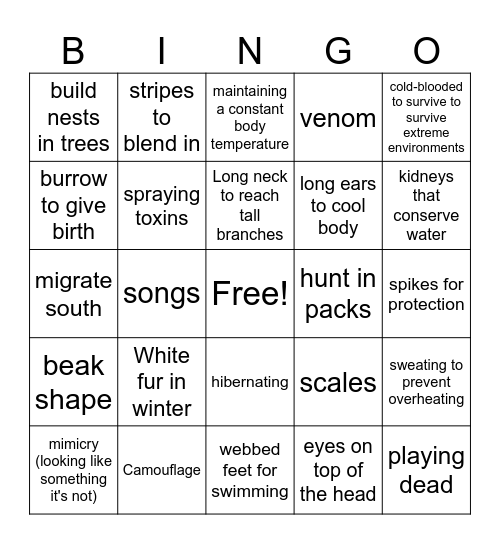 Adaptations Bingo Card