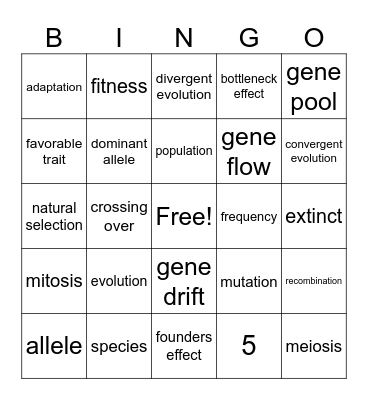 Evolution & Natural Selection Bingo Card