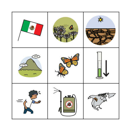 Monarch Migration Bingo Card