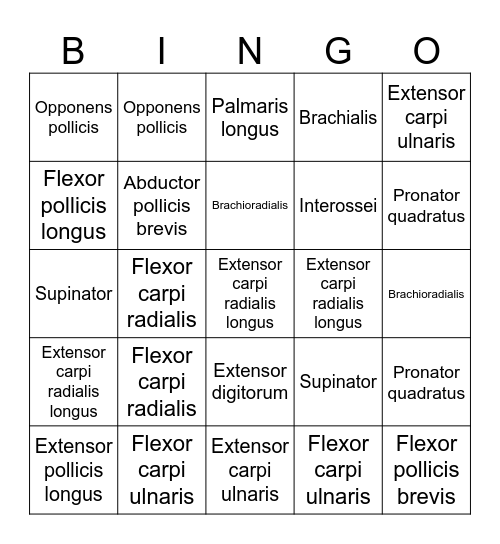 Muscle Bingo Card