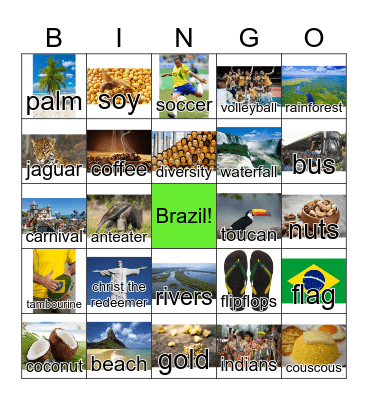 Brazil Images Bingo Card