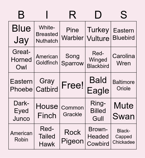 Bird Bingo Card