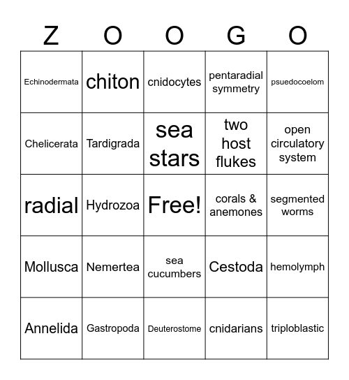 Invertebrate Zoogo! Bingo Card