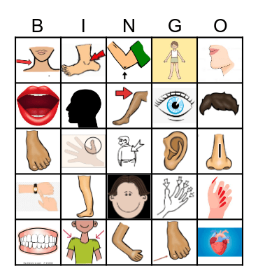 BODY PARTS: English Bingo Card