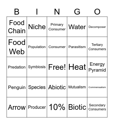 Relationships in Nature Bingo Card
