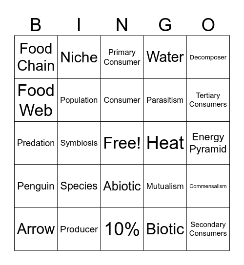 Relationships in Nature Bingo Card