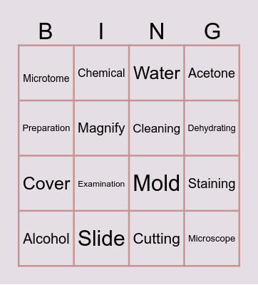 3A's BINGO Card