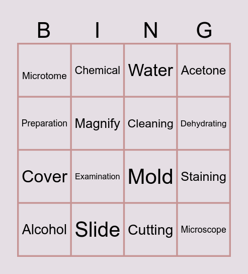 3A's BINGO Card