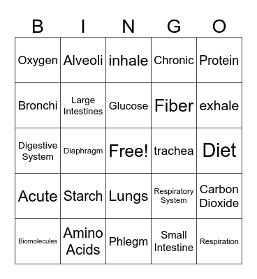 Metabolism Unit Vocabulary Bingo Card