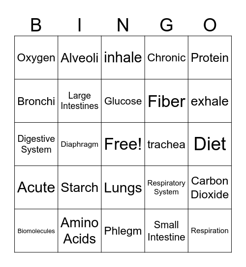 Metabolism Unit Vocabulary Bingo Card