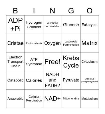 Cellular Respiration Bingo 9th Grade Bingo Card