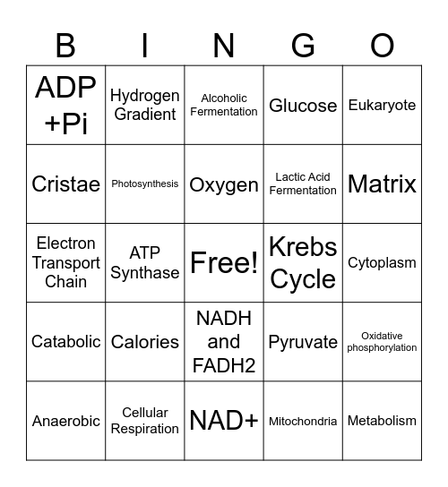 Cellular Respiration Bingo 9th Grade Bingo Card