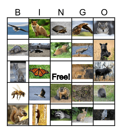 Bakinaage Bingo Card