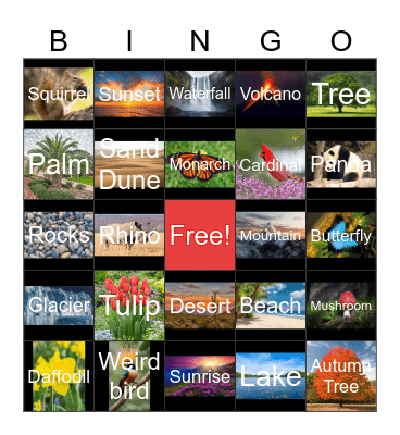 Nature Bingo Card