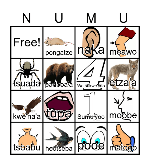 Pre-K Bingo Card