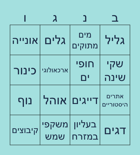 הכנרת Bingo Card