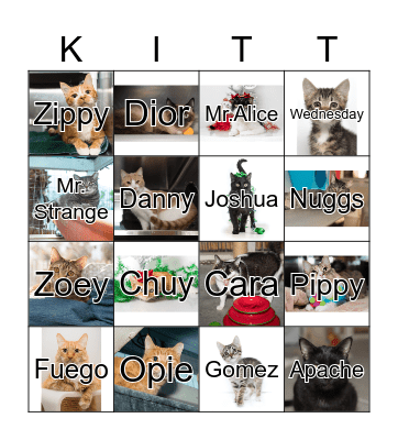 CAT BINGO Card