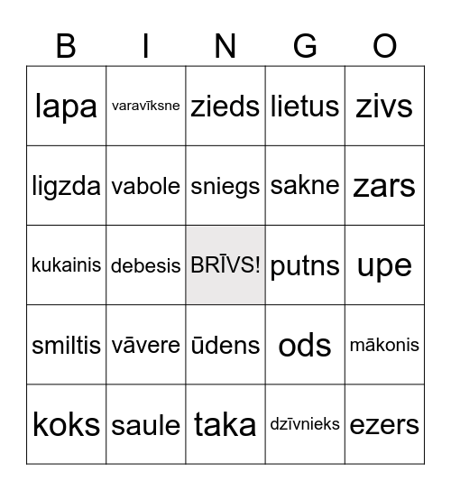 Ārā Bingo Card