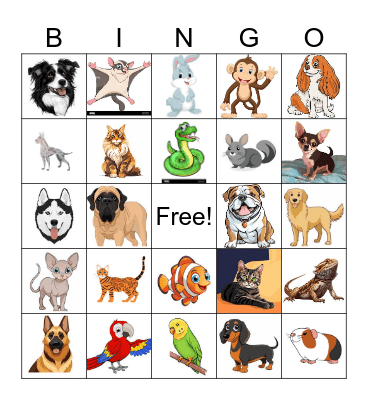 Pets Bingo Card