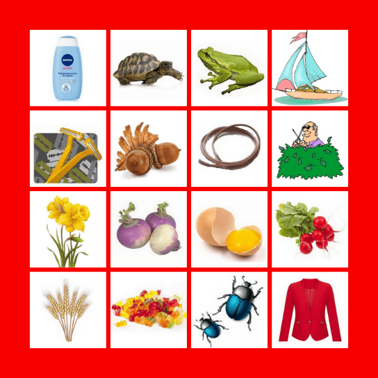 głoska [ż-rz] N (2) Bingo Card