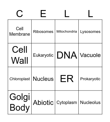 Organelle Review Bingo Card