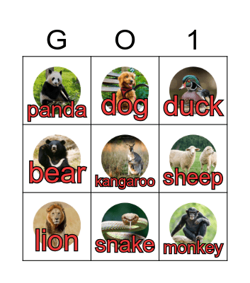 Pictures & Words Bingo Card