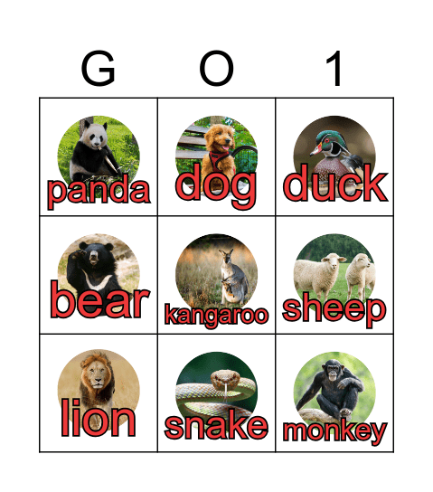 Pictures & Words Bingo Card