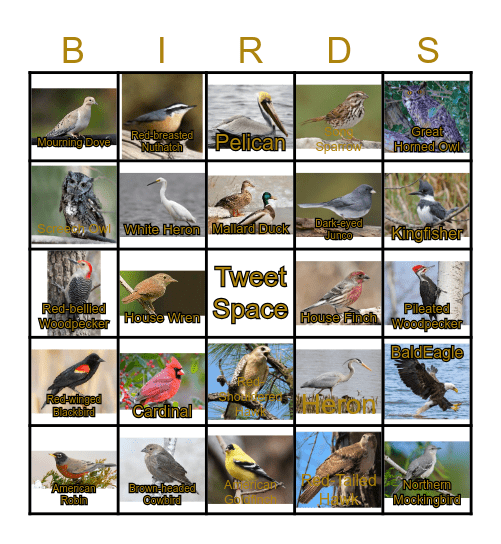 BIRDS Bingo Card