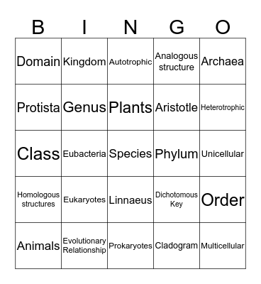 Classification Bingo Card