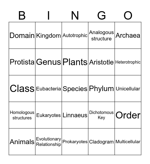 Classification Bingo Card