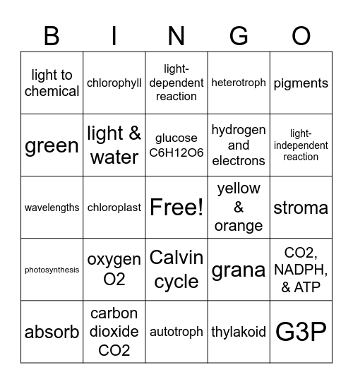 PHOTOSYNTHESIS Bingo Card