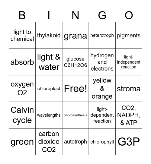 PHOTOSYNTHESIS Bingo Card