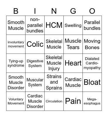 Muscular Systems Bingo Card