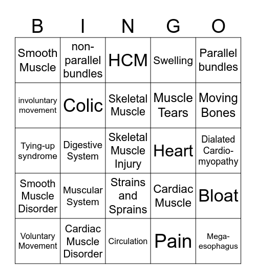 Muscular Systems Bingo Card